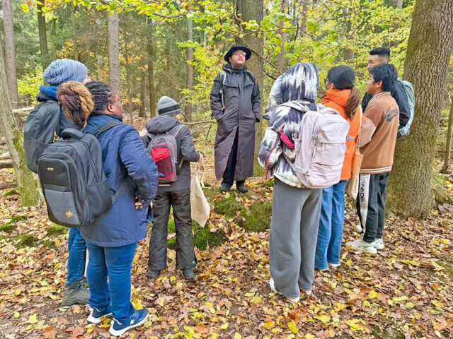 In die Pilze gehen Pilzwanderung mit dem Care & Career Projekt: Die heimische Natur entdecken, Wissenswertes über Pilze erfahren und gemeinsam Zeit verbringen: Bei einer Pilzwanderung im Oktober lernten Teilnehmende des Care and Career Projekts die Vielfalt der heimischen Pilzwelt kennen.