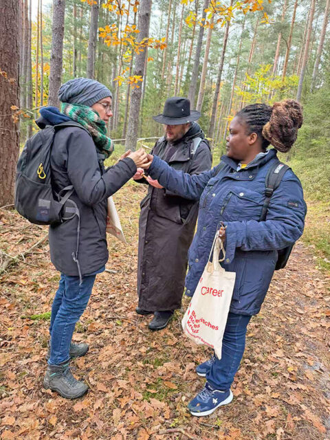 In die Pilze gehen Pilzwanderung mit dem Care & Career Projekt: Die heimische Natur entdecken, Wissenswertes über Pilze erfahren und gemeinsam Zeit verbringen: Bei einer Pilzwanderung im Oktober lernten Teilnehmende des Care and Career Projekts die Vielfalt der heimischen Pilzwelt kennen.